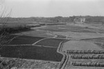 昭和30年代半ば以降、川の汚染により野塩・中里・下宿の水田は次々と住宅等の用地に変わり、清瀬の水田は姿を消しました。右上の埼玉県所沢市方面に「アカバッケ（赤土の崖）」と呼ばれる地層が見えます。