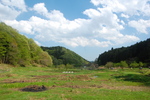 横沢入はあきる野市にある谷戸の一つで、雑木林と谷戸田、湿地が広がる、昔ながらの里山を彷彿とさせる風景が広がっています。