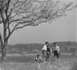 伊与田昌男撮影。「桜の下で何して遊ぼ」の別カット。