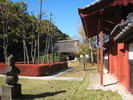 野外展示の旧下田家住宅と赤門。中央には赤く色づいたツツジが見えます。