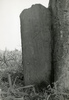 塚の上に立つ大板碑は、康元元年（1256）の銘を刻んだ、多摩地域最古のもの。かつて板碑は塚に屹立する榎にくい込むように立っていた。1955年の発掘時に、板碑保存の見地より、榎から離されたが、塚状に板碑が立つ姿は今も変わっていない。