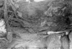 片町遺跡で発掘された焼失竪穴建物跡では、カヤと思われる屋根材も、なぜか良好に残っていた。調査時の詳細な記録がないのが残念だが、カヤの上に土をのせたいわゆる「土屋根」の可能性を示している。