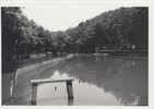 赤坂池は、上と下の二つの池からなり、古くから入り田んぼや中藤田んぼの灌漑用水池として使われてきました。<br />
江戸時代の絵図には「溜井赤坂」と記されていました。