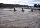 大雨で増水した多摩川が羽村堰を飲み込もうかという勢いで流れています。