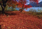 奥多摩湖の秋