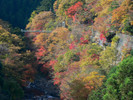 惣岳渓谷の秋