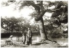 狭山池は鎌倉時代の歌集に載るなど、古くから知られていた池。江戸時代初期に残堀川と繋げられ、玉川上水の助水とされた。昭和58年（1983）に公園として整備。面積約1.5ヘクタール。