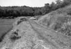 当時建設中の市道を撮影。写真左側には田んぼが写っており農村だった当時の様子がわかります。