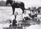多摩川で蚕の飼育に使う竹コノメを洗う女性たち。その背後に荷馬車が見えます。馬は、農産物や肥料のほか、多摩川で採取された砂利などの物資の運搬に欠かせない存在でした。
