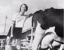 戦時下では大人の人手不足を補うため、小学校でも乳牛を飼う授業が取り入れられ、子ども達も牛の世話をしました。牛舎の掃除や搾乳を始め、牛のエサとなるトウモロコシの刈り入れなども行いました。